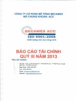 Báo cáo tài chính quý 3 năm 2013 - Công ty cổ phần Bê tông Becamex