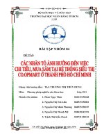 Các nhân tố ảnh hưởng đến chi tiêu, mua sắm tại hệ thống siêu thị co opmart (2)