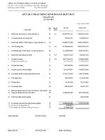 Báo cáo tài chính hợp nhất quý 1 năm 2010 - Công ty Cổ phần Nhựa và Môi trường xanh An Phát