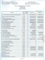Báo cáo tài chính công ty mẹ quý 1 năm 2013 - Công ty TNHH Chứng khoán ACB