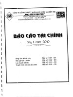 Báo cáo tài chính quý 2 năm 2010 - Công ty Cổ phần Xuất nhập khẩu Thủy sản Bến Tre