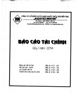 Báo cáo tài chính quý 1 năm 2014 - Công ty Cổ phần Xuất nhập khẩu Thủy sản Bến Tre
