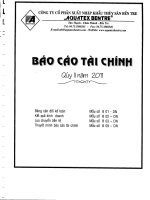 Báo cáo tài chính quý 2 năm 2011 - Công ty Cổ phần Xuất nhập khẩu Thủy sản Bến Tre