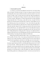 Những di tích khảo cổ học cự thạch ở đồng nai trong khung cảnh cự thạch việt nam và châu á 