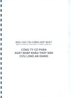 Báo cáo tài chính hợp nhất năm 2015 (đã kiểm toán) - Công ty cổ phần Xuất nhập khẩu Thủy sản Cửu Long An Giang