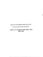 Báo cáo tài chính quý 2 năm 2012 (đã soát xét) - Công ty Cổ phần Xuất nhập khẩu Thủy sản Bến Tre