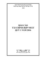 Báo cáo tài chính hợp nhất quý 1 năm 2016 - Công ty cổ phần Xuất nhập khẩu Thủy sản Cửu Long An Giang