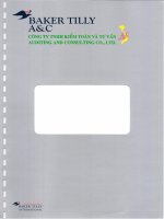 Báo cáo tài chính năm 2013 (đã kiểm toán) - Công ty cổ phần Bê tông Becamex