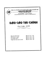 Báo cáo tài chính quý 2 năm 2013 - Công ty Cổ phần Xuất nhập khẩu Thủy sản Bến Tre