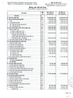 Báo cáo tài chính quý 1 năm 2013 - Công ty cổ phần Quản lý quỹ đầu tư Chứng khoán An Bình