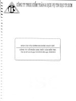 Báo cáo tài chính quý 2 năm 2010 (đã kiểm toán) - Công ty Cổ phần Xuất nhập khẩu Thủy sản Bến Tre