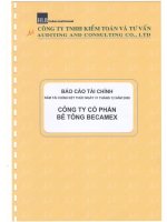 Báo cáo tài chính năm 2008 (đã kiểm toán) - Công ty cổ phần Bê tông Becamex