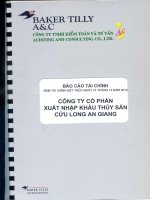 Báo cáo tài chính năm 2012 (đã kiểm toán) - Công ty cổ phần Xuất nhập khẩu Thủy sản Cửu Long An Giang