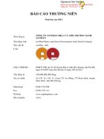 Báo cáo thường niên năm 2012 - Công ty Cổ phần Nhựa và Môi trường xanh An Phát