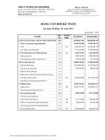 Báo cáo tài chính quý 2 năm 2011 - Công ty Cổ phần Thủy sản Mekong