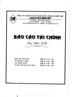 Báo cáo tài chính quý 1 năm 2012 - Công ty Cổ phần Xuất nhập khẩu Thủy sản Bến Tre