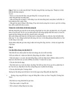 cau hoi on tap dia 8  hoc ki 2