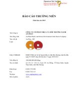 Báo cáo thường niên năm 2013 - Công ty Cổ phần Nhựa và Môi trường xanh An Phát