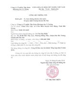 Báo cáo tài chính quý 1 năm 2016 - CTCP Tập đoàn Khoáng sản Á Cường