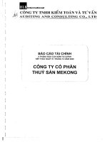 Báo cáo tài chính quý 2 năm 2009 (đã kiểm toán) - Công ty Cổ phần Thủy sản Mekong