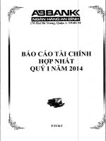 Báo cáo tài chính hợp nhất quý 1 năm 2014 - Ngân hàng Thương mại cổ phần An Bình