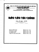 Báo cáo tài chính quý 3 năm 2011 - Công ty Cổ phần Xuất nhập khẩu Thủy sản Bến Tre