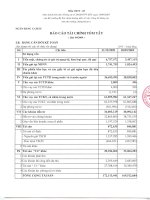 Báo cáo tài chính quý 4 năm 2009 - Ngân hàng Thương mại Cổ phần Á Châu