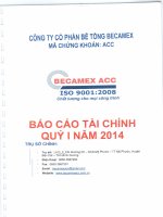 Báo cáo tài chính quý 1 năm 2014 - Công ty cổ phần Bê tông Becamex