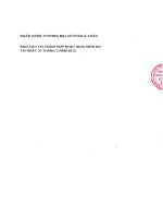 Báo cáo tài chính hợp nhất quý 1 năm 2012 - Ngân hàng Thương mại Cổ phần Á Châu