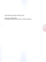 Báo cáo tài chính công ty mẹ năm 2010 (đã kiểm toán) - Ngân hàng Thương mại Cổ phần Á Châu