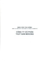 Báo cáo tài chính năm 2014 (đã kiểm toán) - Công ty Cổ phần Thủy sản Mekong