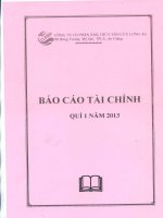 Báo cáo tài chính quý 1 năm 2013 - Công ty cổ phần Xuất nhập khẩu Thủy sản Cửu Long An Giang