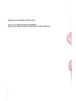 Báo cáo tài chính hợp nhất quý 2 năm 2010 (đã soát xét) - Ngân hàng Thương mại Cổ phần Á Châu
