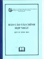 Báo cáo tài chính hợp nhất quý 2 năm 2011 - Công ty cổ phần Xuất nhập khẩu Thủy sản Cửu Long An Giang