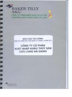 Báo cáo tài chính năm 2013 (đã kiểm toán) - Công ty cổ phần Xuất nhập khẩu Thủy sản Cửu Long An Giang