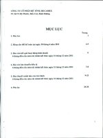 Báo cáo tài chính quý 2 năm 2011 - Công ty cổ phần Bê tông Becamex
