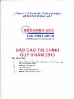 Báo cáo tài chính quý 2 năm 2013 - Công ty cổ phần Bê tông Becamex