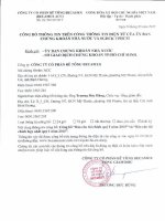 Báo cáo tài chính hợp nhất quý 1 năm 2015 - Công ty cổ phần Bê tông Becamex