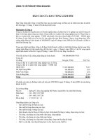 Báo cáo tài chính năm 2010 - Công ty cổ phần Bê tông Becamex