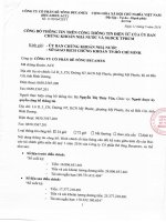 Báo cáo tài chính công ty mẹ quý 1 năm 2016 - Công ty cổ phần Bê tông Becamex