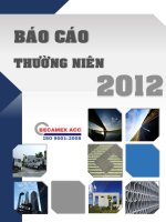 Báo cáo thường niên năm 2012 - Công ty cổ phần Bê tông Becamex
