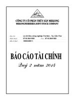 Báo cáo tài chính quý 2 năm 2014 - Công ty Cổ phần Thủy sản Mekong