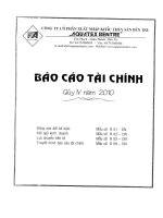 Báo cáo tài chính quý 4 năm 2010 - Công ty Cổ phần Xuất nhập khẩu Thủy sản Bến Tre