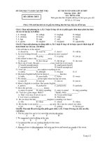 Đề thi tuyển sinh vào lớp 10 môn Tiếng Anh năm học 2016-2017 tỉnh Phú Thọ