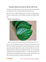 Tổng hợp những mẹo làm đẹp sau sinh hay nhất cho mẹ