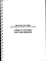 Báo cáo tài chính năm 2008 (đã kiểm toán) - Công ty Cổ phần Thủy sản Mekong