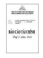Báo cáo tài chính quý 3 năm 2013 - Công ty Cổ phần Thủy sản Mekong