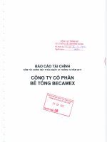 Báo cáo tài chính năm 2011 (đã kiểm toán) - Công ty cổ phần Bê tông Becamex