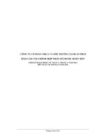 Báo cáo tài chính hợp nhất quý 2 năm 2011 (đã soát xét) - Công ty Cổ phần Nhựa và Môi trường xanh An Phát