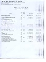 Báo cáo tài chính quý 4 năm 2013 - Công ty cổ phần Xuất nhập khẩu Thủy sản Cửu Long An Giang